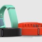 Fitbit Flex For Fitness Buffs