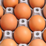 Common Nutrition Myths