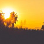 Exposure To Bright Morning Light Linked To Lower Weight, BMI
